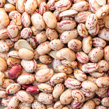 Haricot marbré de Beauce - 1kg